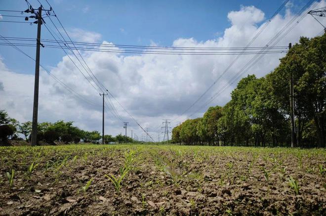 四团这里的露营基地太丰富了！蔬果采摘、休闲度假、垂钓、萌萌小动物……(图2)