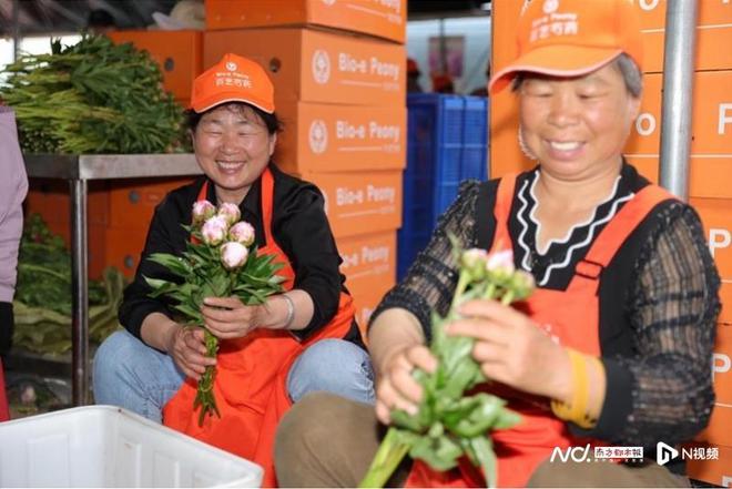 鲜花能否变成时尚产业？他们联手做出了芍药界的“爱马仕”(图3)
