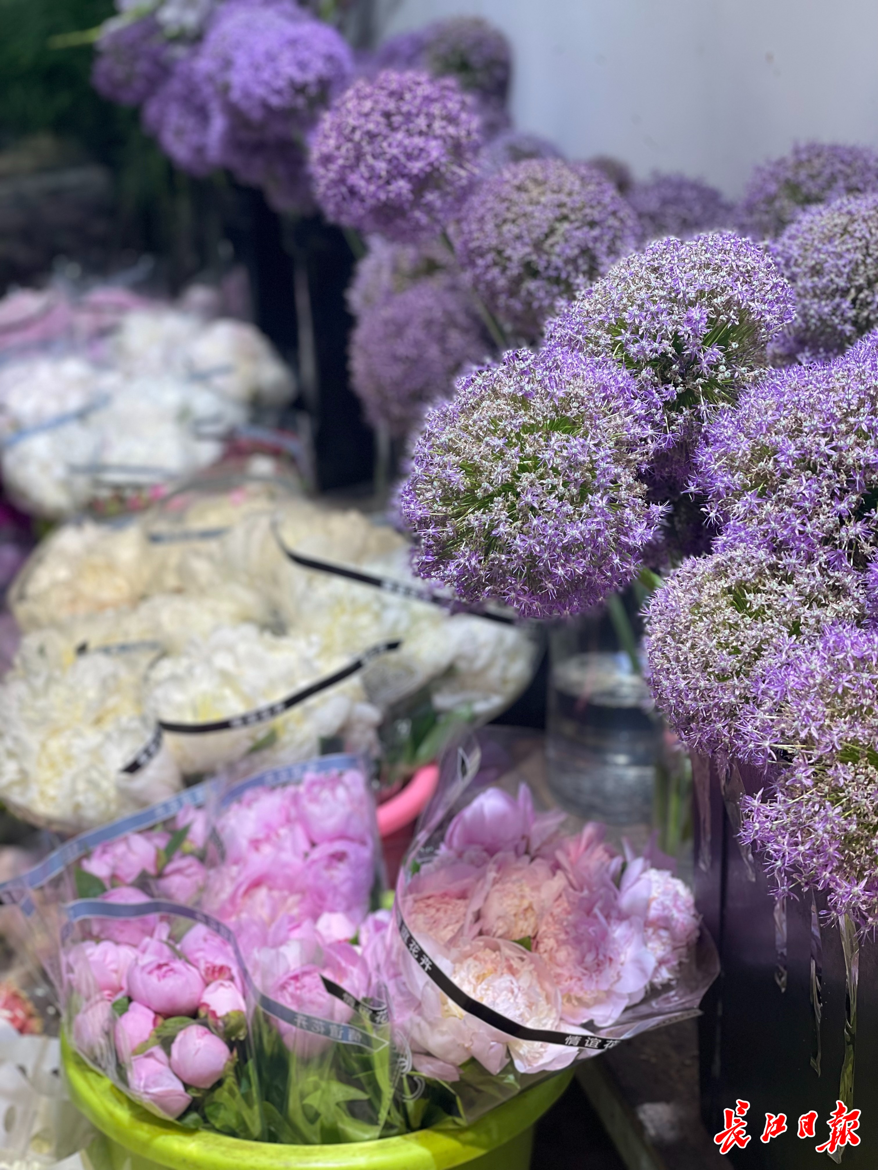 五月鲜花走俏汉产芍药受欢迎(图3)
