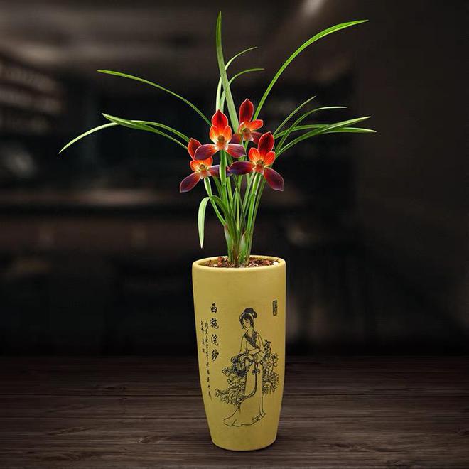 十二星座对应花卉：探索星座与花草之间的神秘联系(图8)