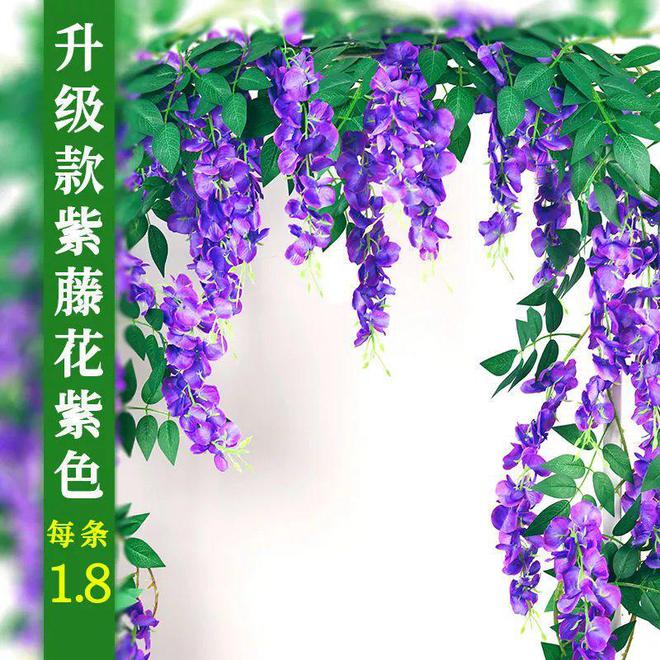 十二星座对应花卉：探索星座与花草之间的神秘联系(图15)