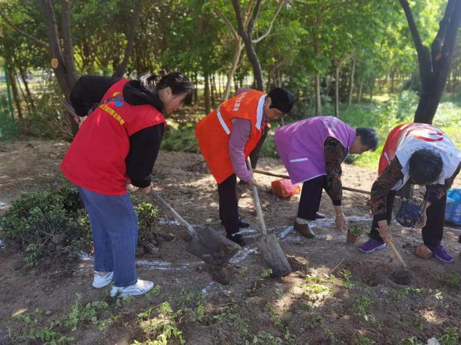 种植花卉、手工制作……家门口的文明实践活动丰富村民生活(图3)