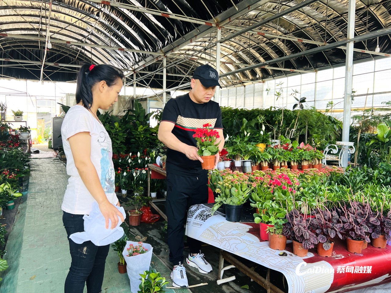时令鲜花上新热销 蔡甸初夏花卉市场红火(图2)