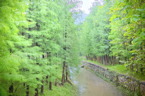 Country walk广州北乡村溯溪你去过没？(图2)