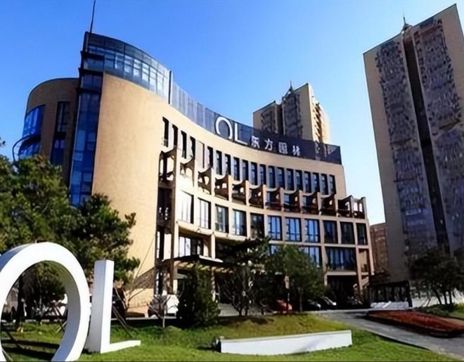 纪实浙江女首富何巧女身价300亿赴美捐款96亿如今在负债200亿(图28)