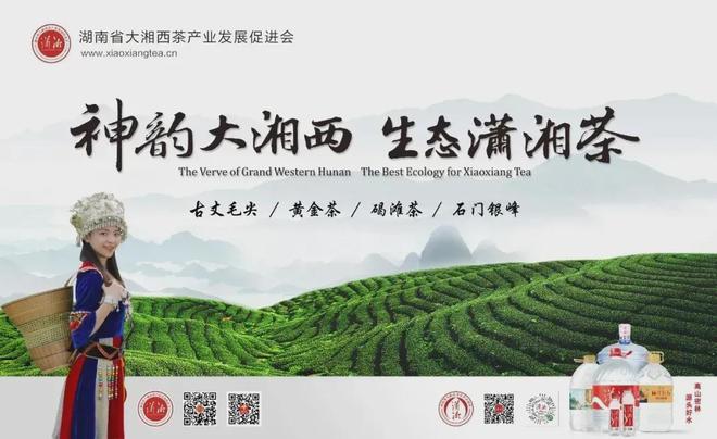 “听琴问茶·贡茶·古琴话蒙山”古琴汇演在蒙顶山茶史博物馆举行(图5)