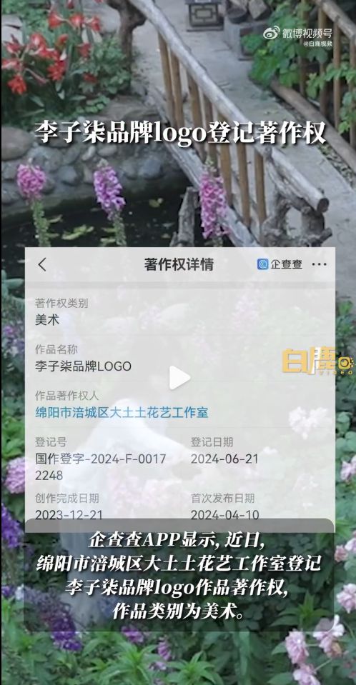 李子柒为什么消失得这么彻底？(图3)