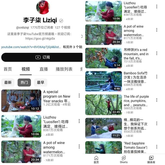 李子柒为什么消失得这么彻底？(图5)