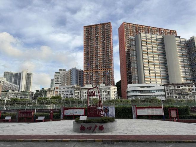 发挥“联”字优势！广东省各级妇联织密服务基层妇儿“巾帼网”(图3)