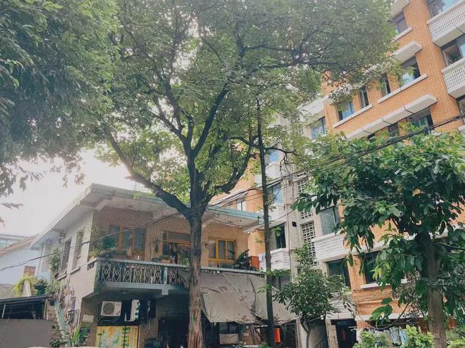 开在麻将馆里的小花店在线上成为“大师店”(图7)