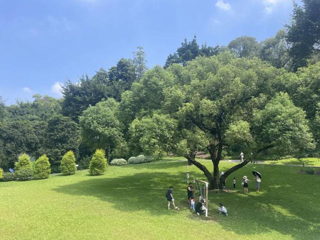 广州新添一座植物园！云溪植物园即将对外开放(图3)