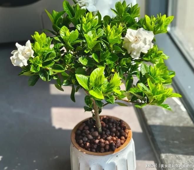 送妈妈什么礼物好？快看过来十款妈妈们不会说但喜欢的礼物(图5)