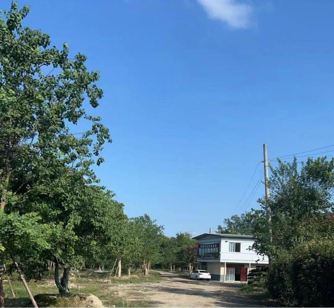 好福企·公益慈善25强（二）｜纯真鑫星耀金桥包装银龙药业蜀州园艺申蓉兴泓(图9)
